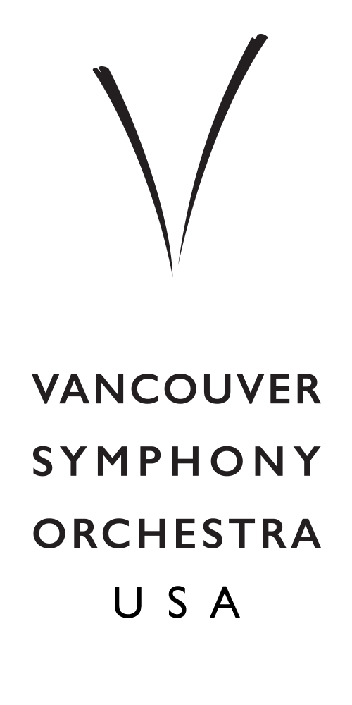 vso usa logo